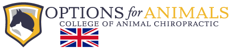 logo copy